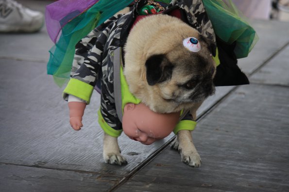 img_4846_34336968132_o