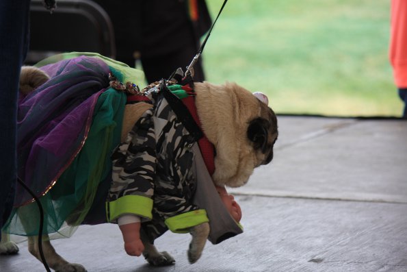 img_4848_34336966052_o