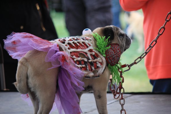 img_4856_34497232025_o