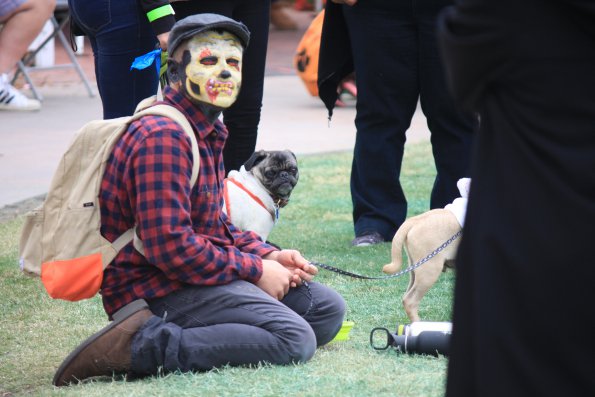 img_4859_33654996914_o