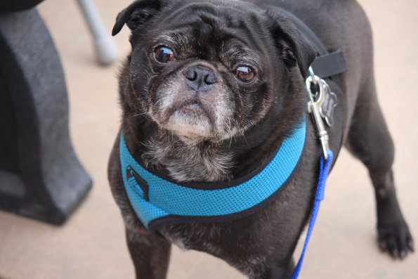 img_4860_34366913861_o