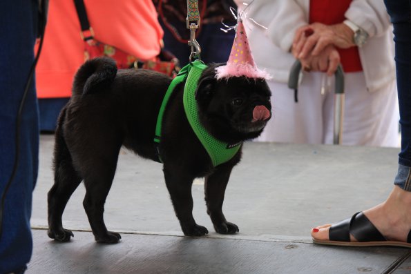 img_4863_34112104930_o