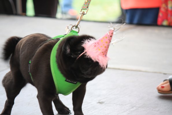 img_4864_34456092716_o