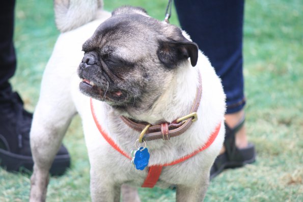 img_4866_34456091216_o