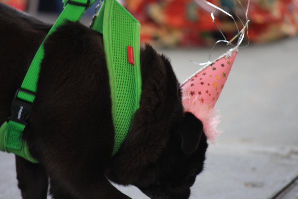 img_4867_33687301303_o