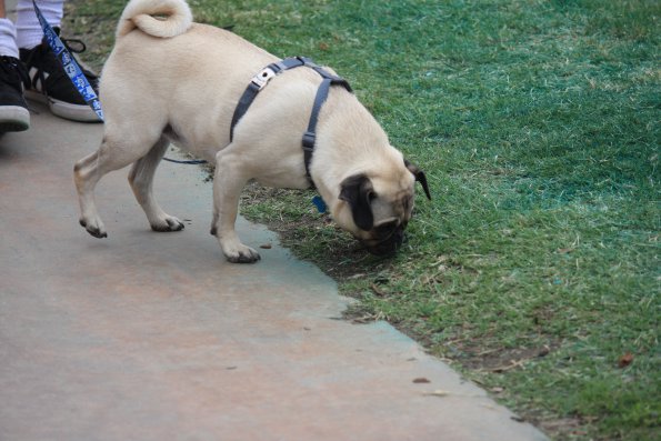 img_4869_34456089706_o