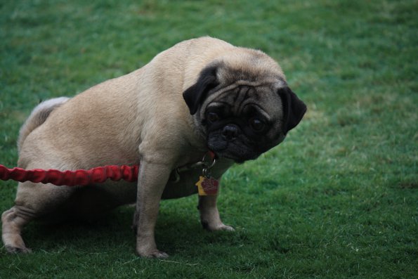 img_4870_34366901071_o