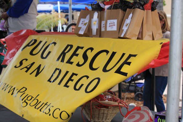 img_4872_34366897371_o