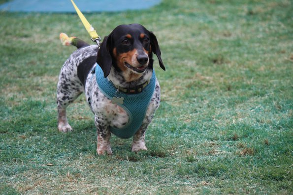 img_4885_34366885861_o