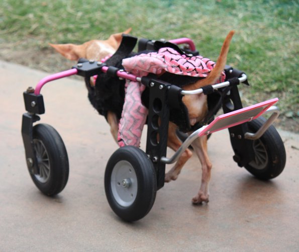 img_4886_34366883571_o