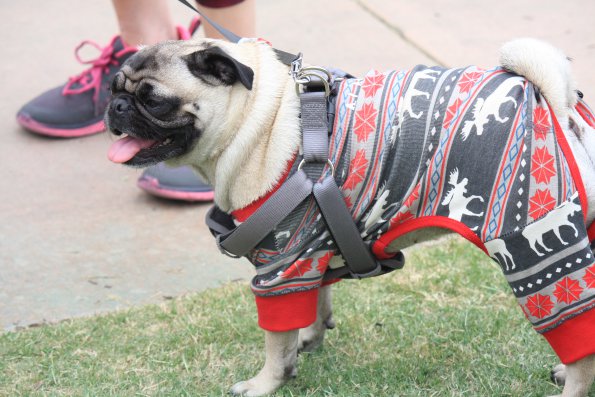 img_4889_34366881321_o