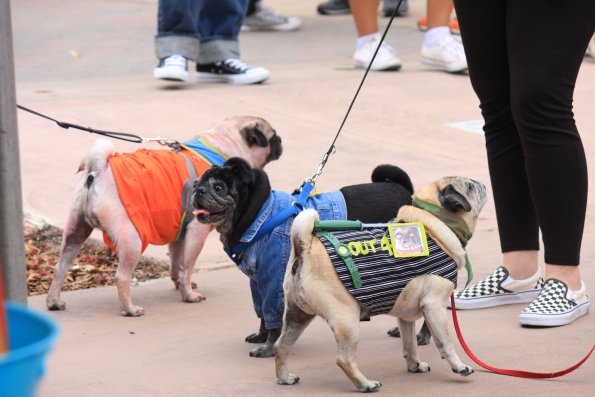 img_4892_34336881622_o