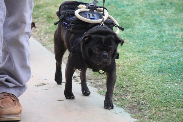 img_4896_34336925542_o