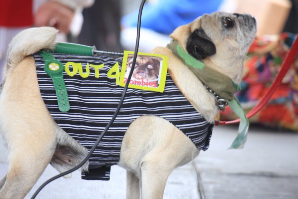 img_4900_33654951904_o