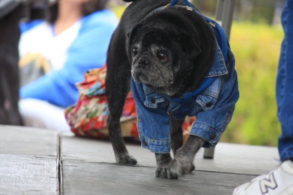 img_4902_34336921362_o