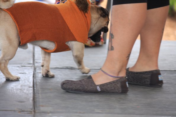 img_4912_34336880452_o