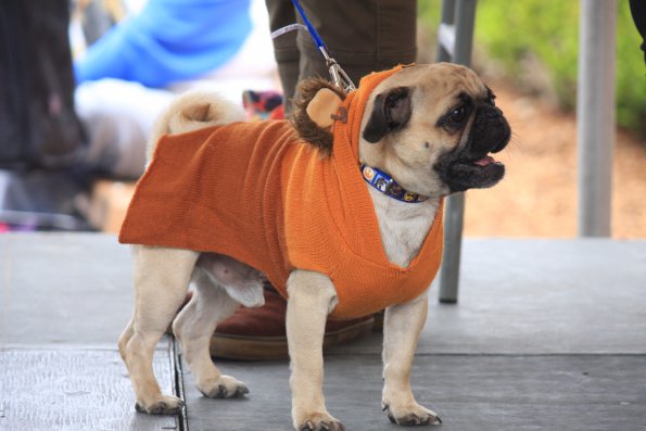 img_4914_33687253493_o