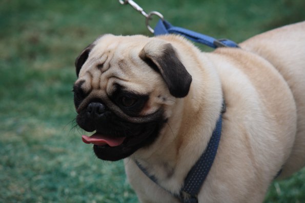 img_4920_34497193515_o