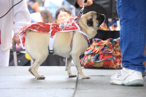 img_4921_34497192155_o