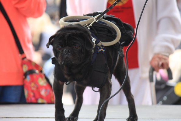 img_4925_34366841711_o