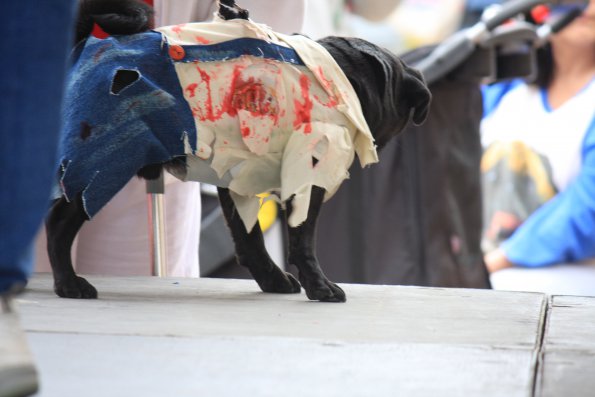 img_4928_34456031476_o