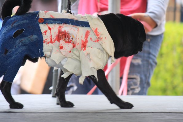 img_4929_34497181815_o