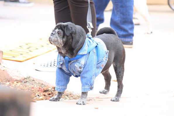 img_4934_34366836951_o