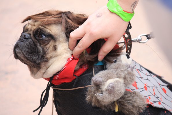 img_4939_33687237323_o