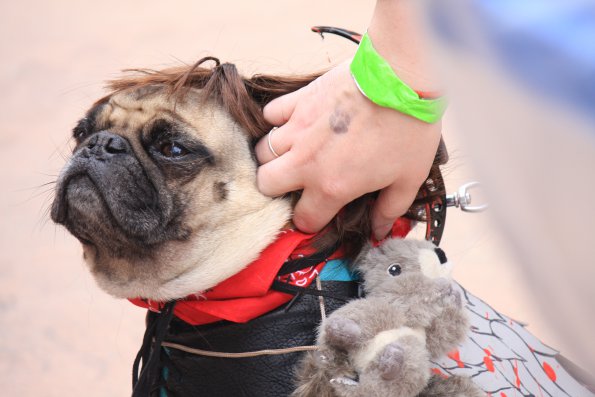 img_4940_33654910604_o