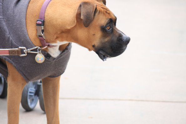 img_4941_33654908874_o