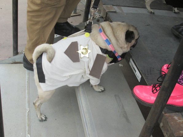 img_4950_34456017036_o