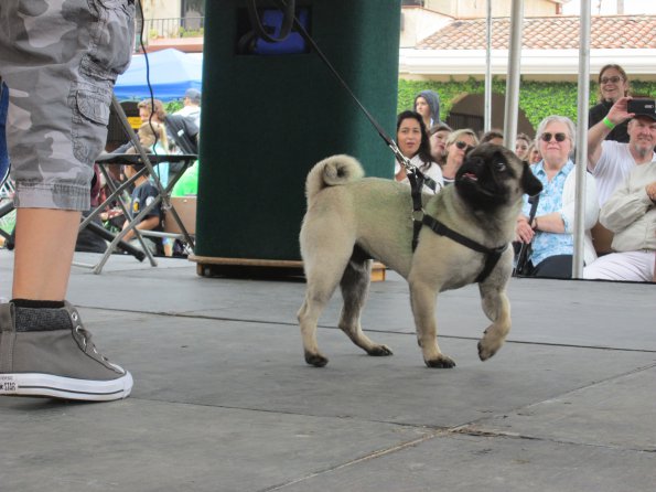 img_4957_33654888084_o