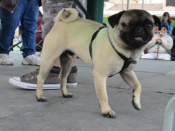 img_4958_34111995720_o